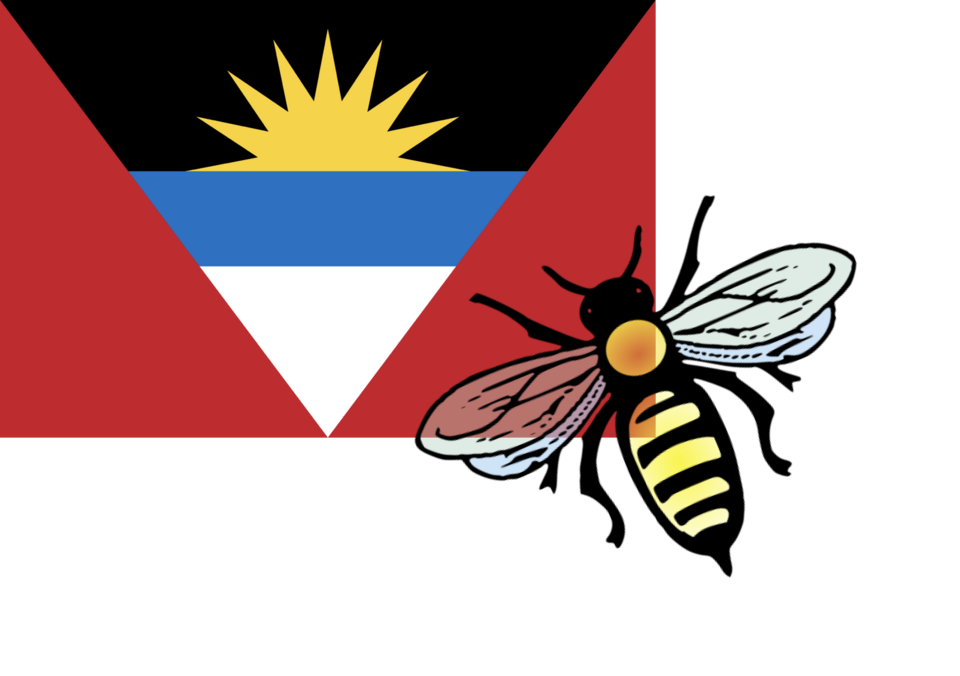 Antigua and Barbuda bee