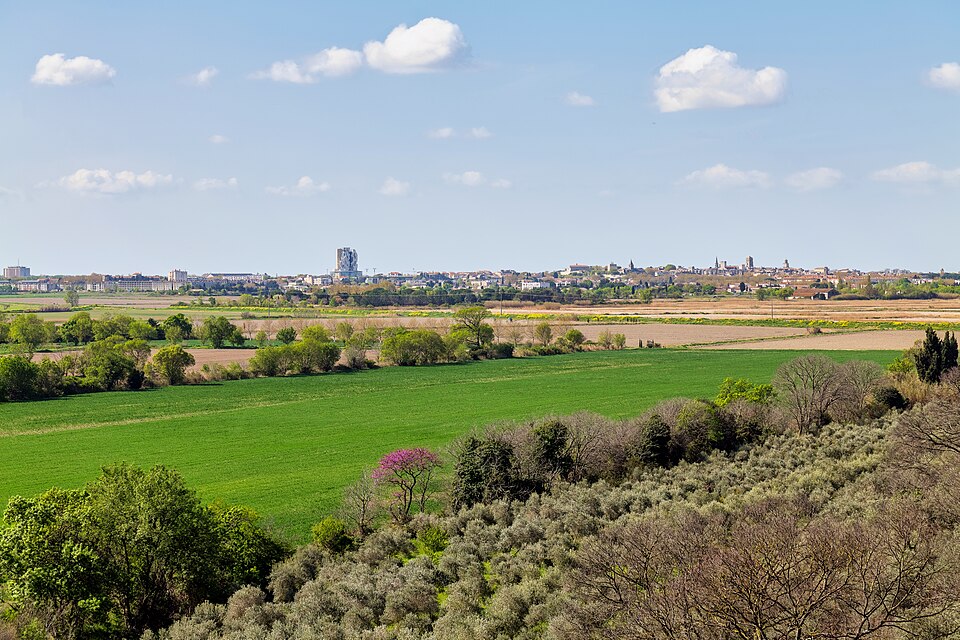 Panoramic view from Montmajour Abbey towards Arles skyline