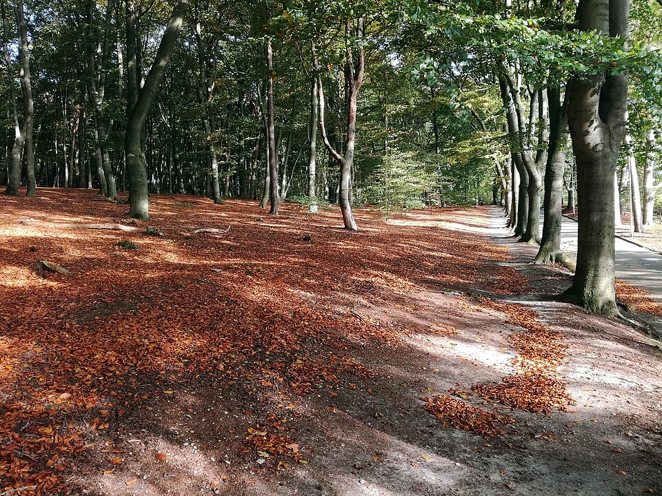 Arnhem Park Klarenbeek NW ne 20191026 1252