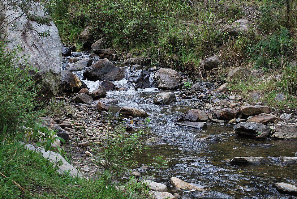 Baños