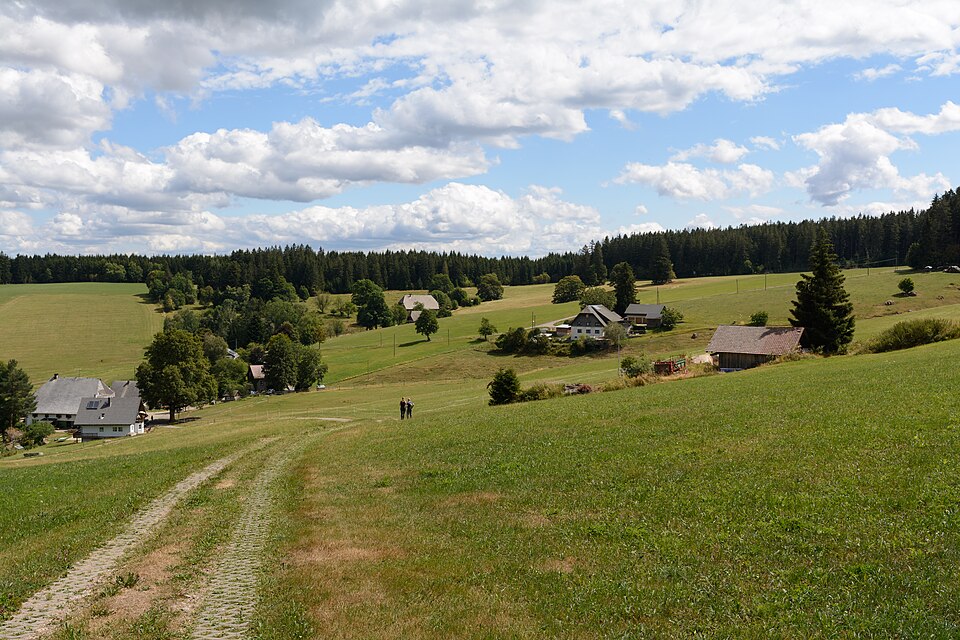 Schönwald im Schwarzwald Prisen 20180810