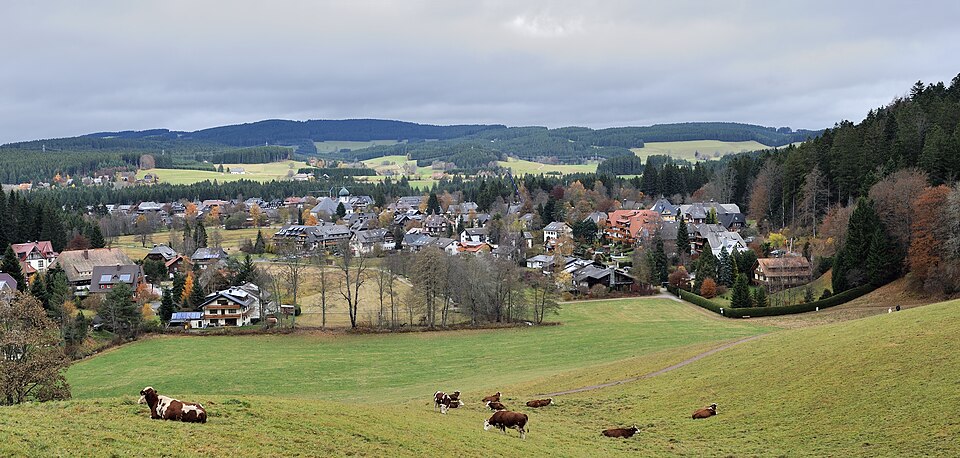 Schwarzwald Hinterzarten 01