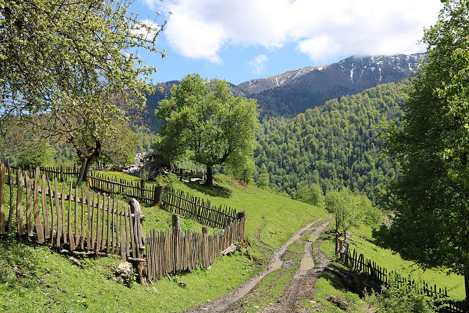 Borjomi