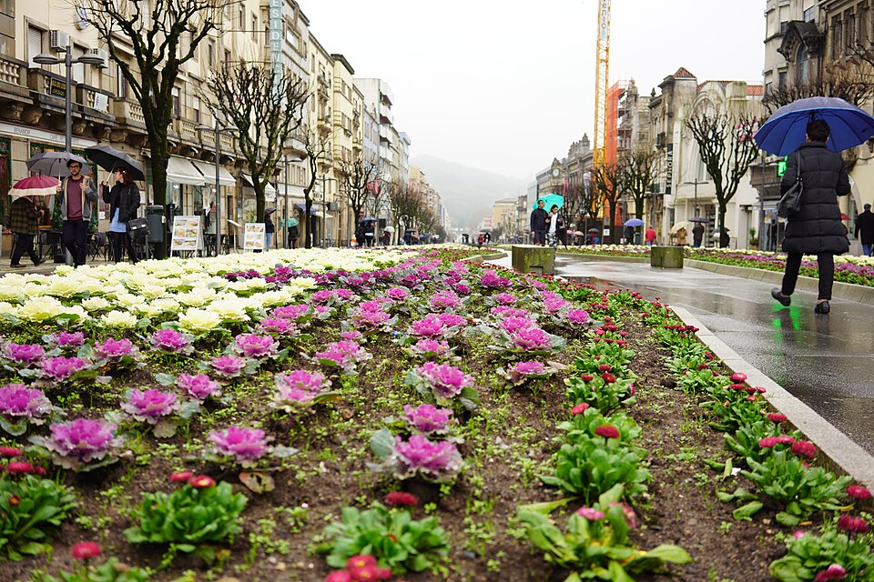 Braga