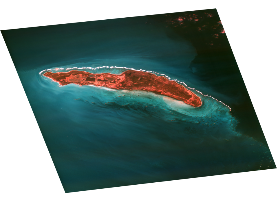 British Virgin Islands (wyvern dragonette 001 20250112T135902 06289eed)