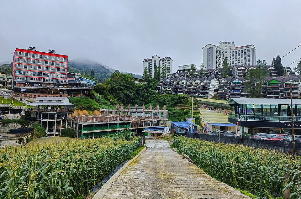 Kea Farm, Cameron Highlands 202412