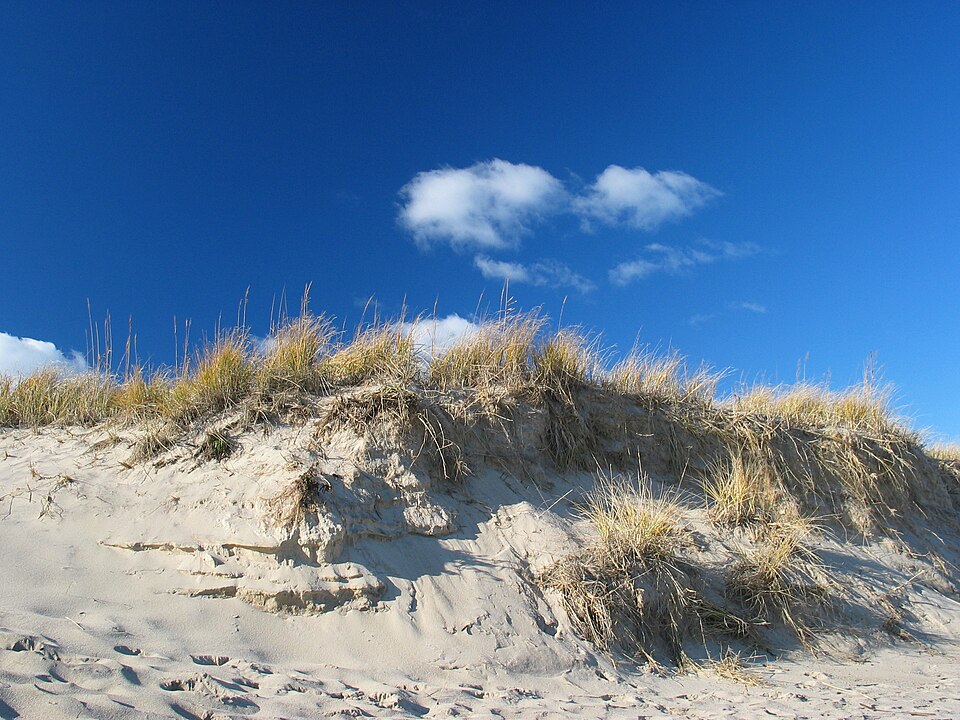 USA Cape Cod 1 MA