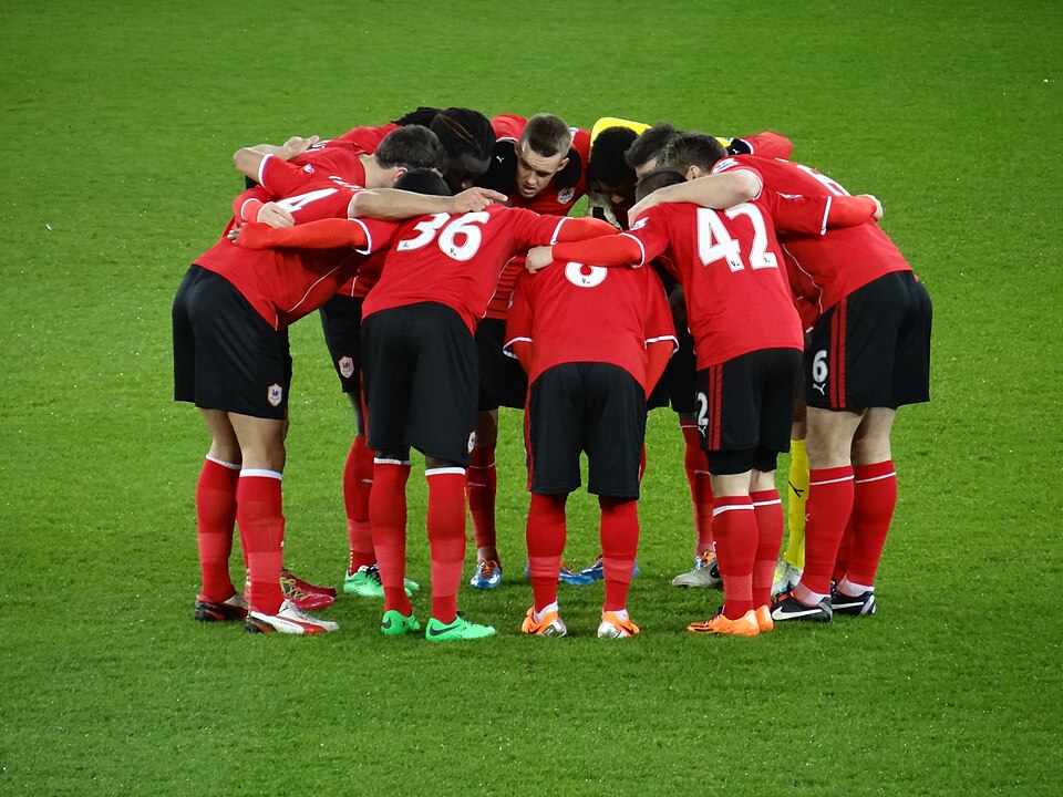 20140211 Cardiff City v Aston Villa, Cardiff City Stadium, Cardiff, Wales (0)