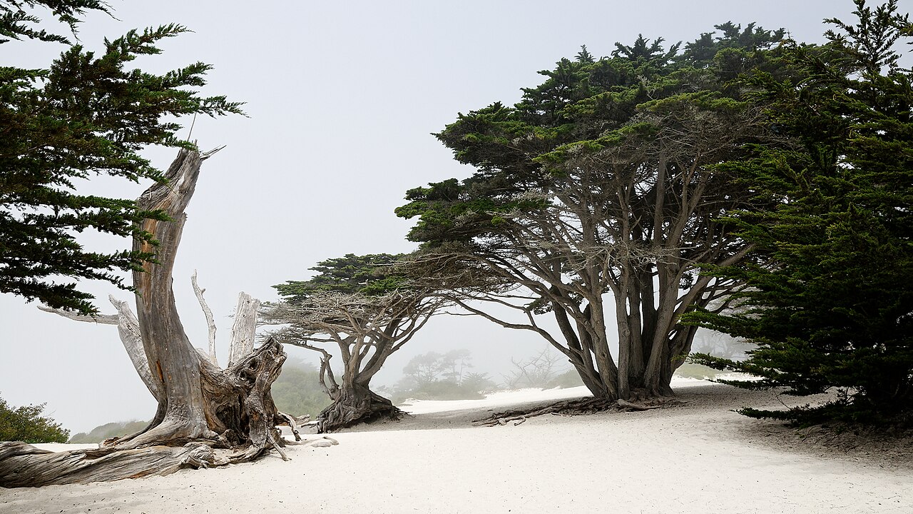 Carmel-by-the-Sea