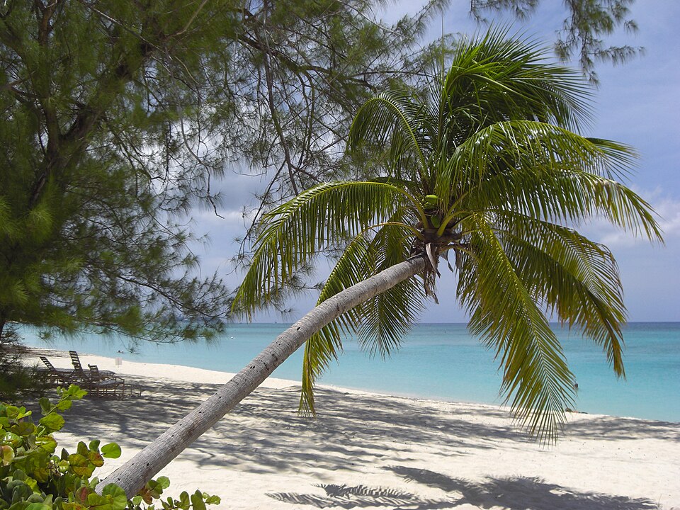 Playa de Gran Caimán Islas Caimán03