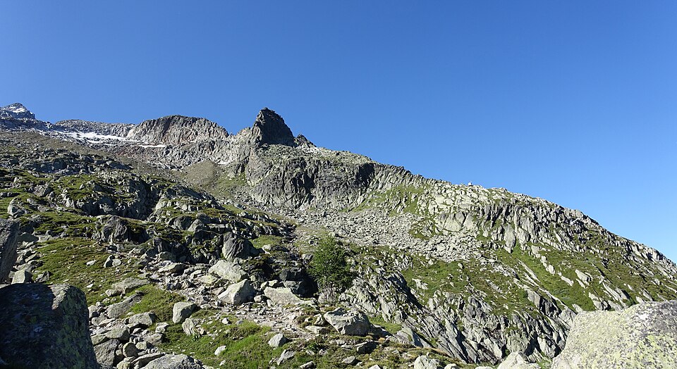 Mountain hillside, Chamonix