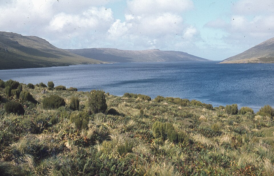 DSIR archive 1 10 Chathams Islands expedition Feb Mar 1981 by T Crosby, G Ramsay