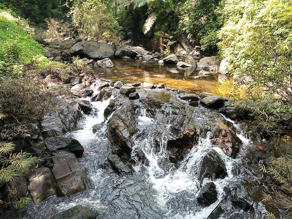 Padinalkunad riserve, Coorg 2