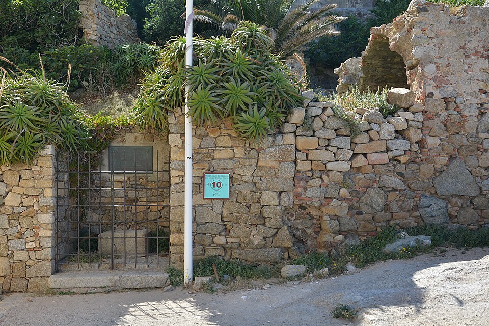 Corsica Calvi birthplace Columbus