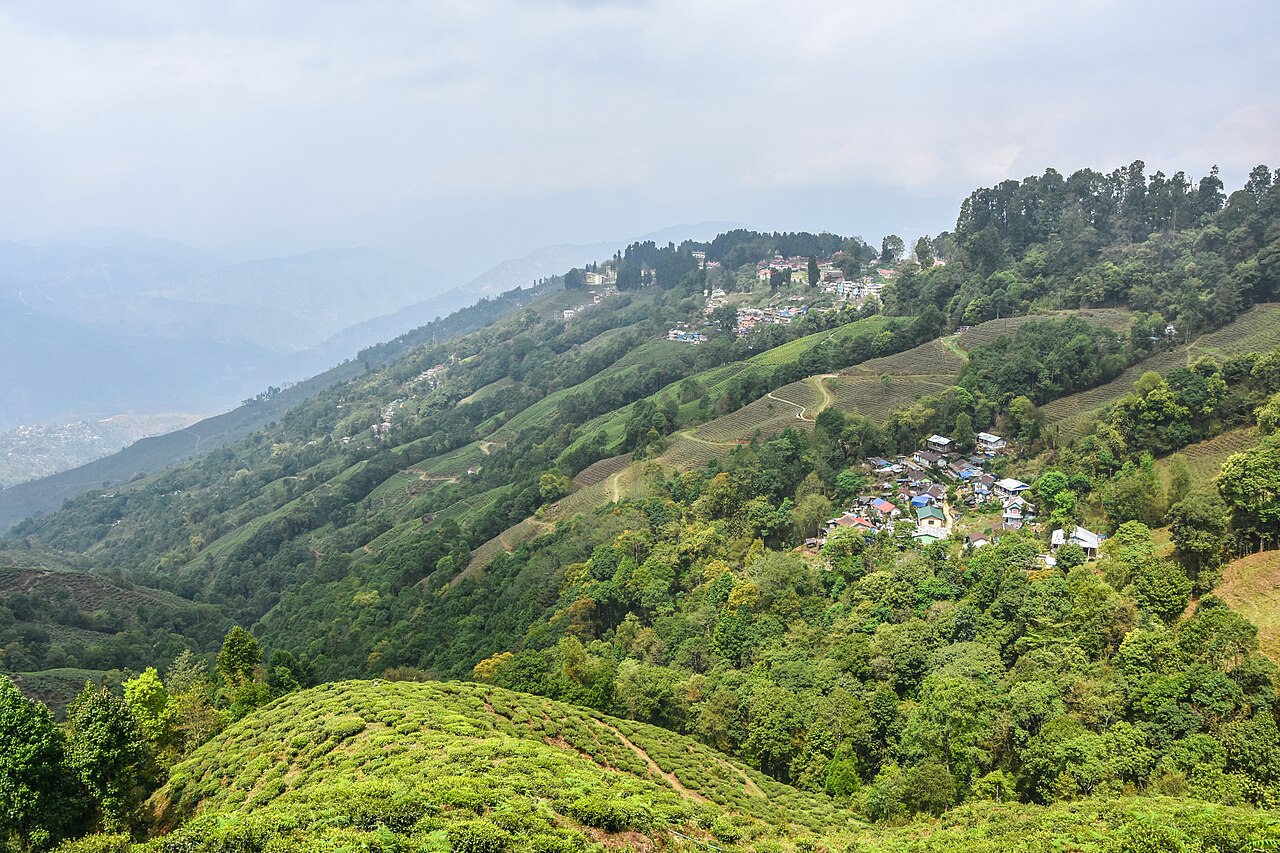 Darjeeling