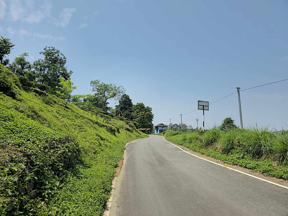 Rongtong Darjeeling 2