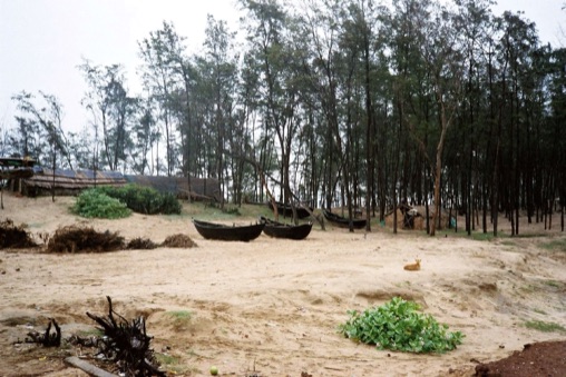 Boats at Digha Beach