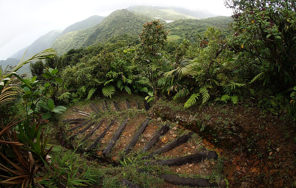 Dominica Hiking Path