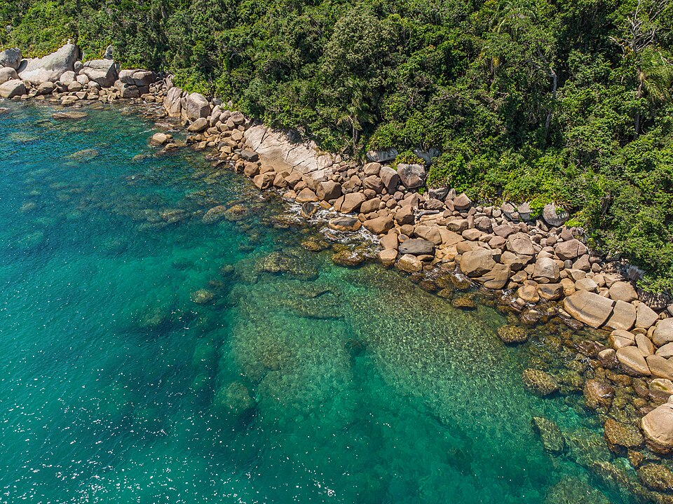 Reserva Biológica Marinha do Arvoredo Matheus Hobold Sovernigo (01)