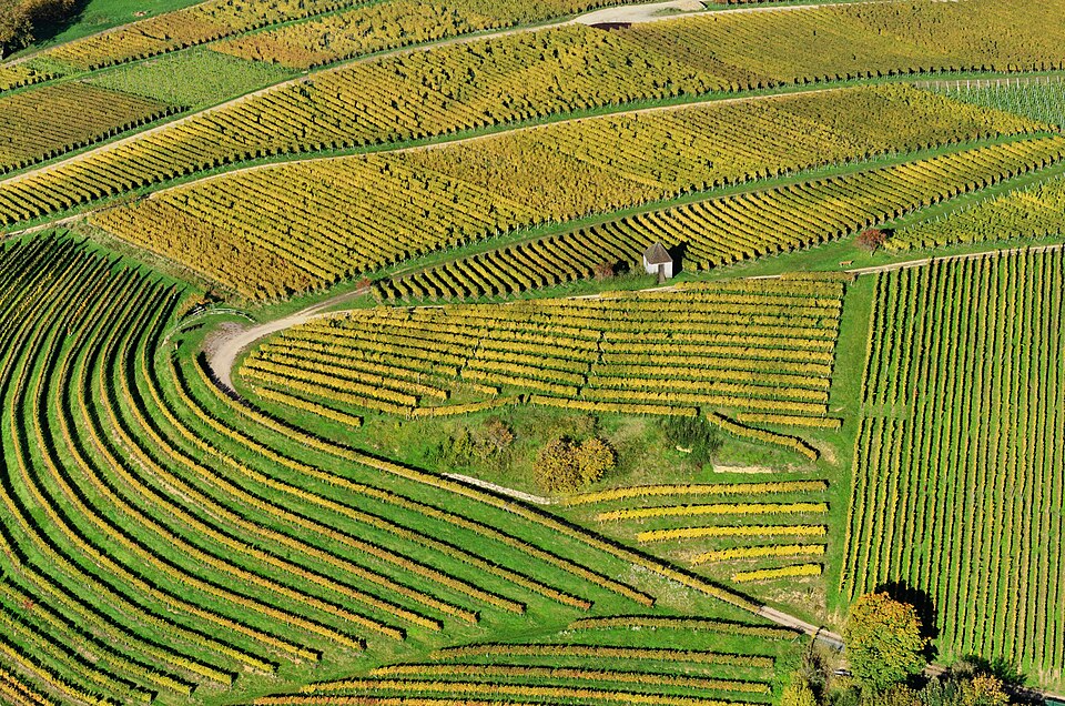 Aerial View Landschaft Markgräflerland1