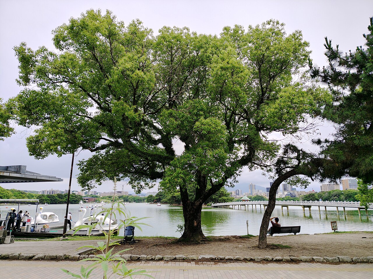 Fukuoka