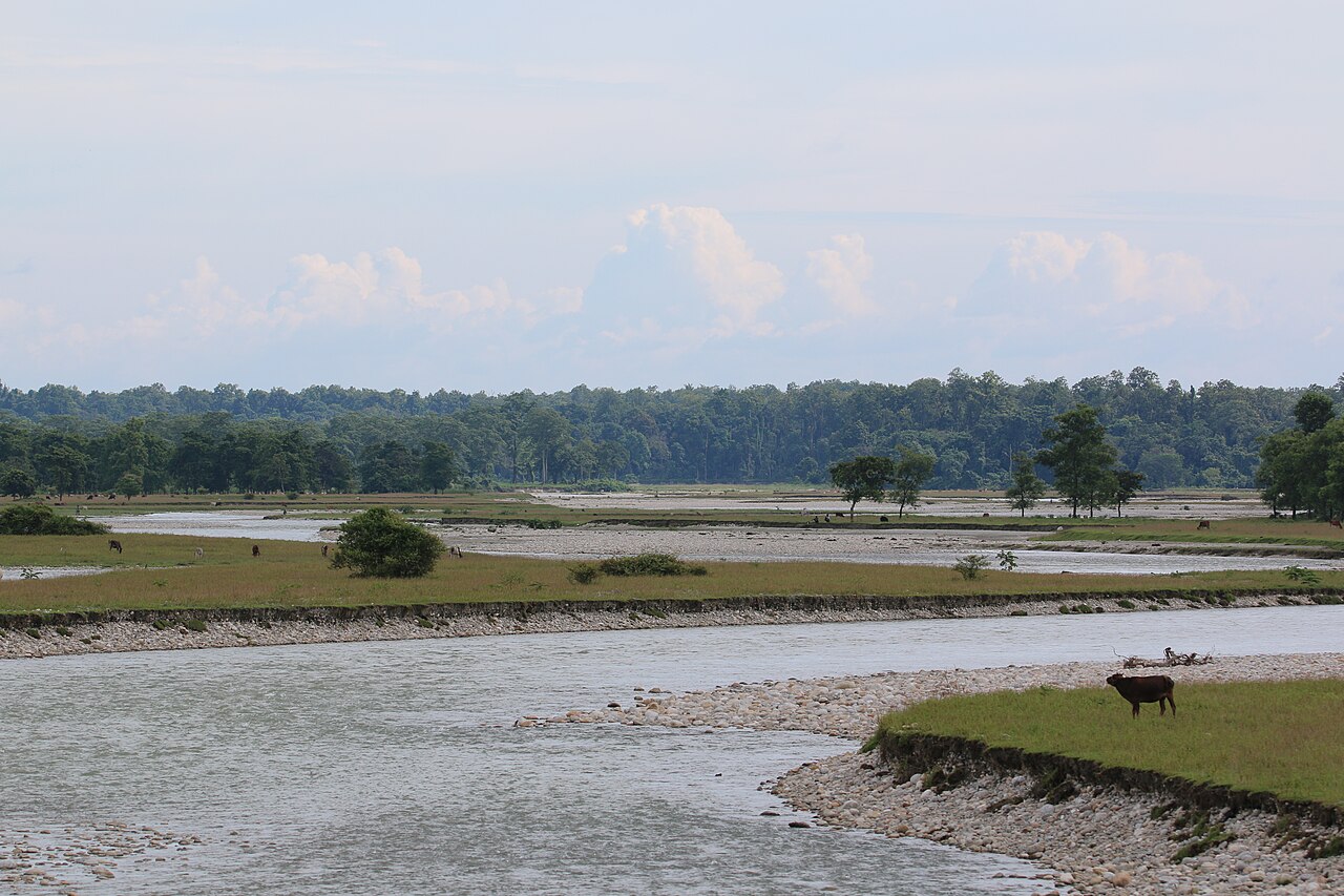 Gorumara National Park