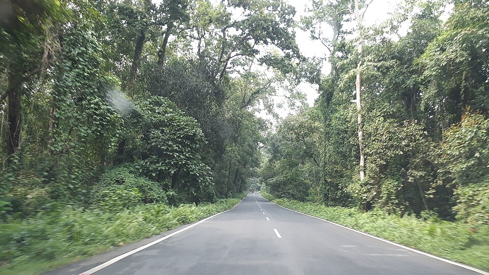 Gorumara National Park beside 31 no. National Highway 13