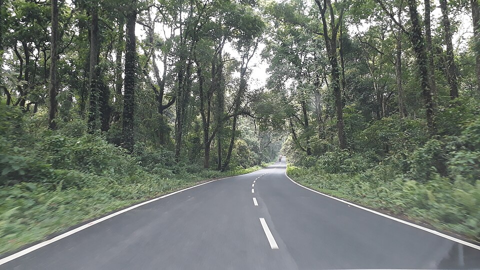 Gorumara National Park beside 31 no. National Highway 11