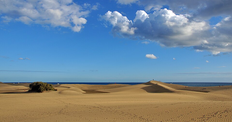 GC Dunas de Maspalomas R04
