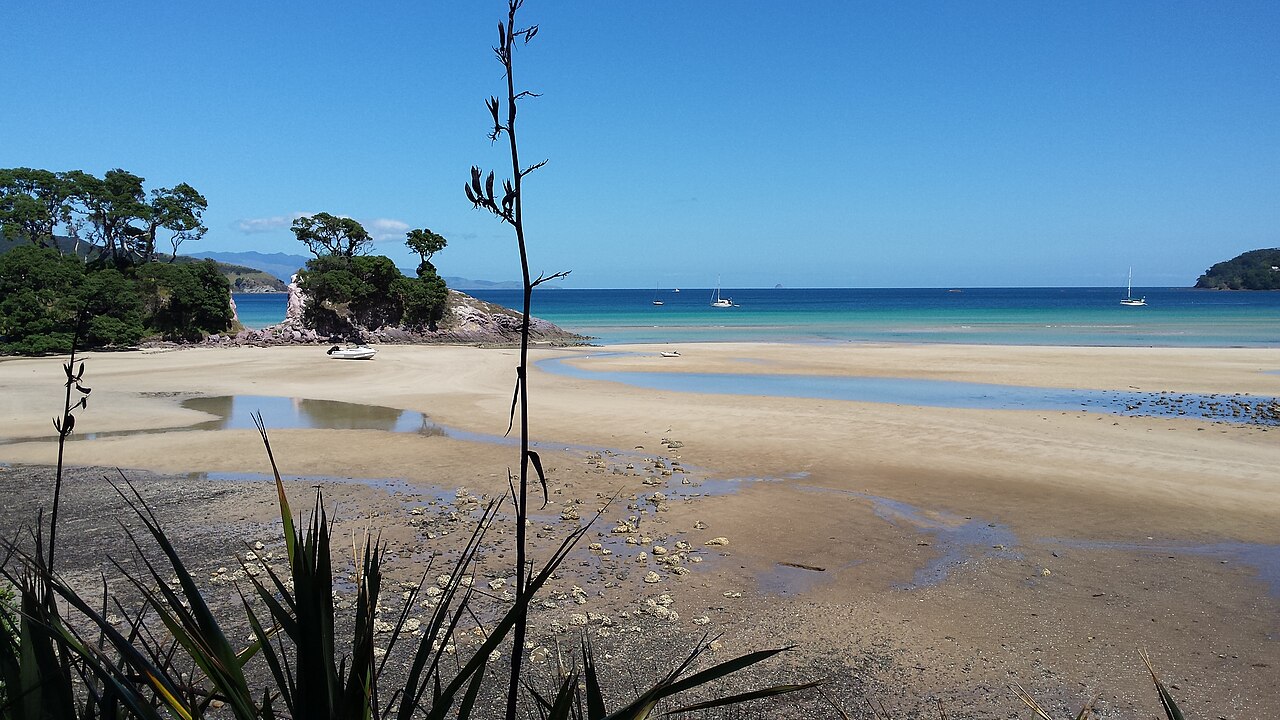 Great Barrier Island