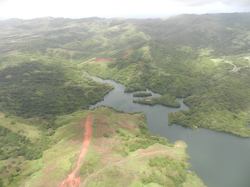Woods at Guam No.1