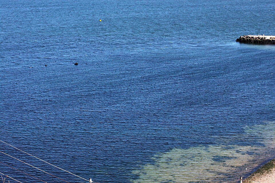 2012 08 11 Heligoland Ausflug, d Helgoland 49
