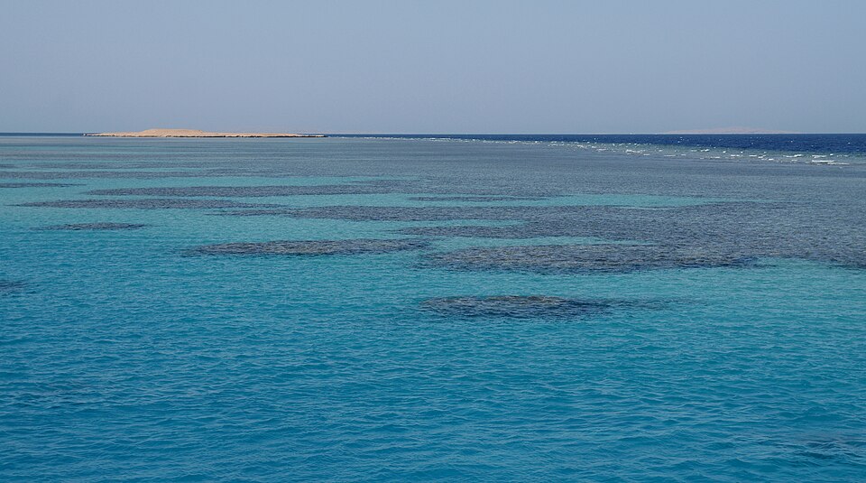Coral reefs in the Red Sea