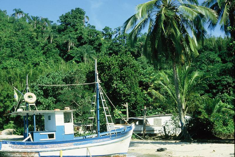 Ilha Grande Fischer
