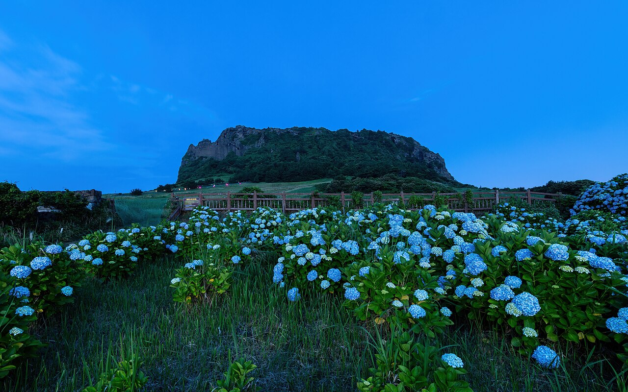 Jeju