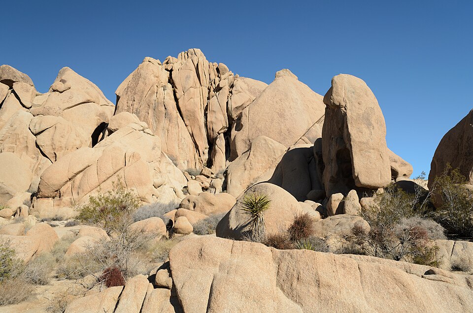 Joshua Tree National Park December 2013 003