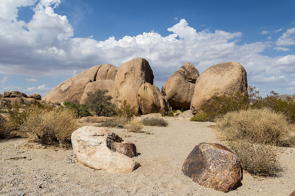 Joshua Tree National Park (California, USA) 2012 5689