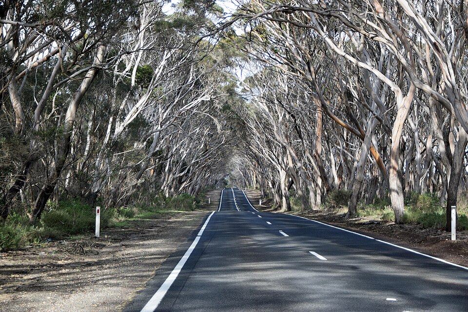 Kangaroo Island Alley