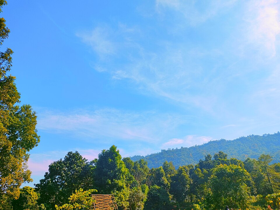 Mandu Resort, Kaziranga 3