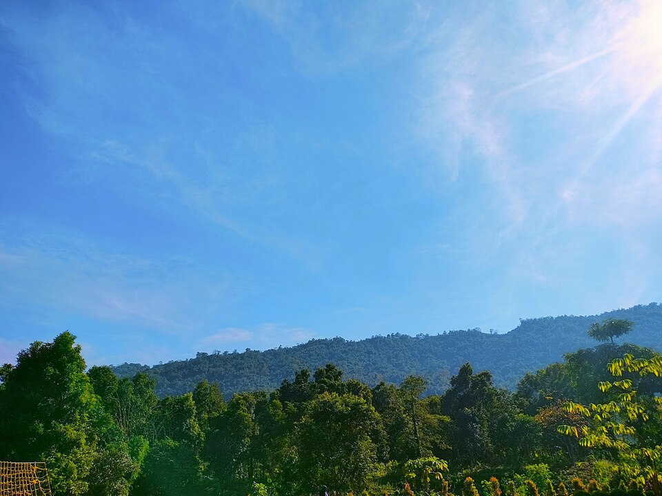 Mandu Resort, Kaziranga 4