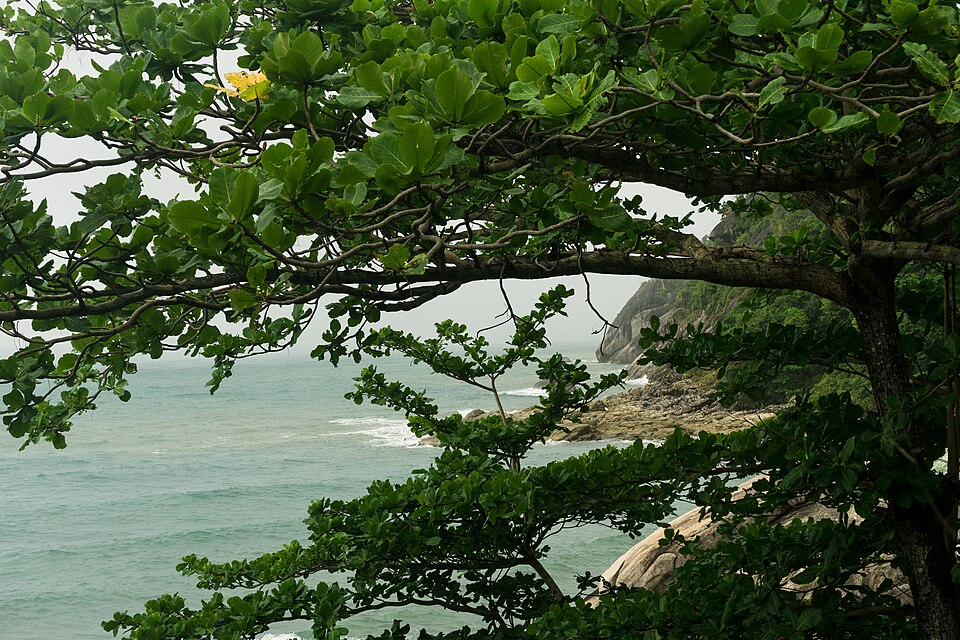 Ko Pha Ngan, April, 2018 5