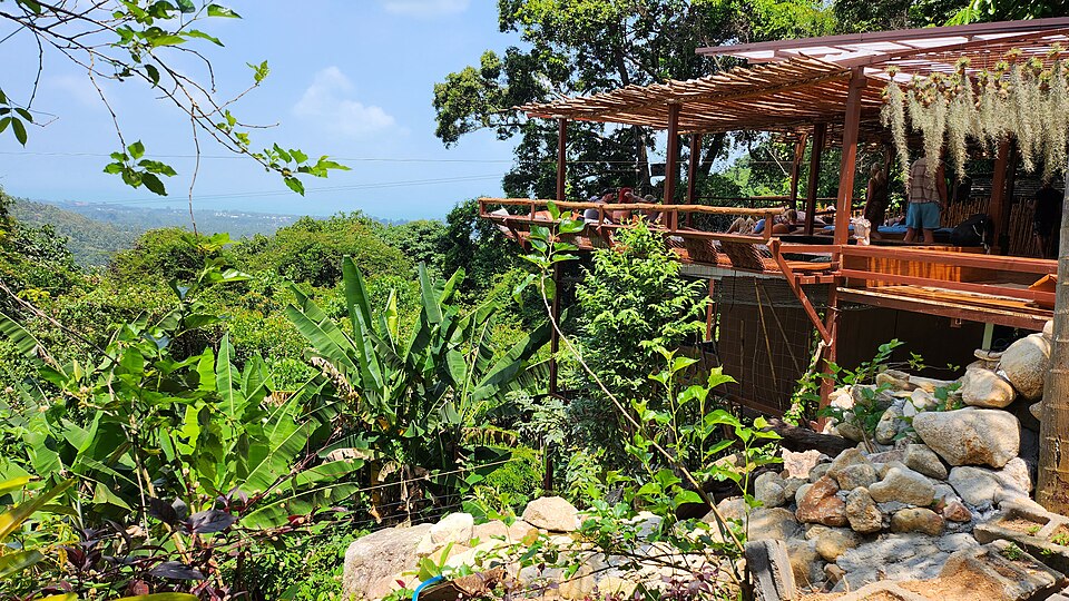 Tree Bridge Zipline, Ko Samui in 2023 1
