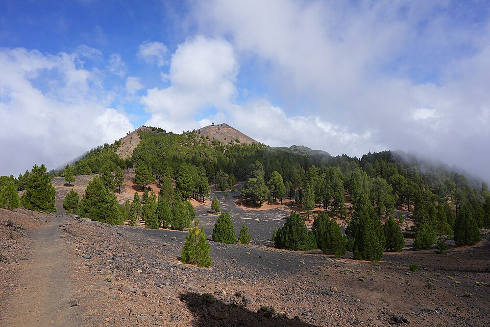 La Palma Deseada