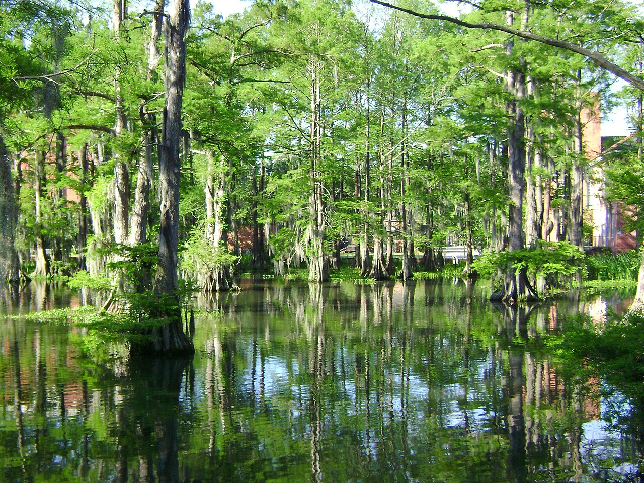 Lafayette
