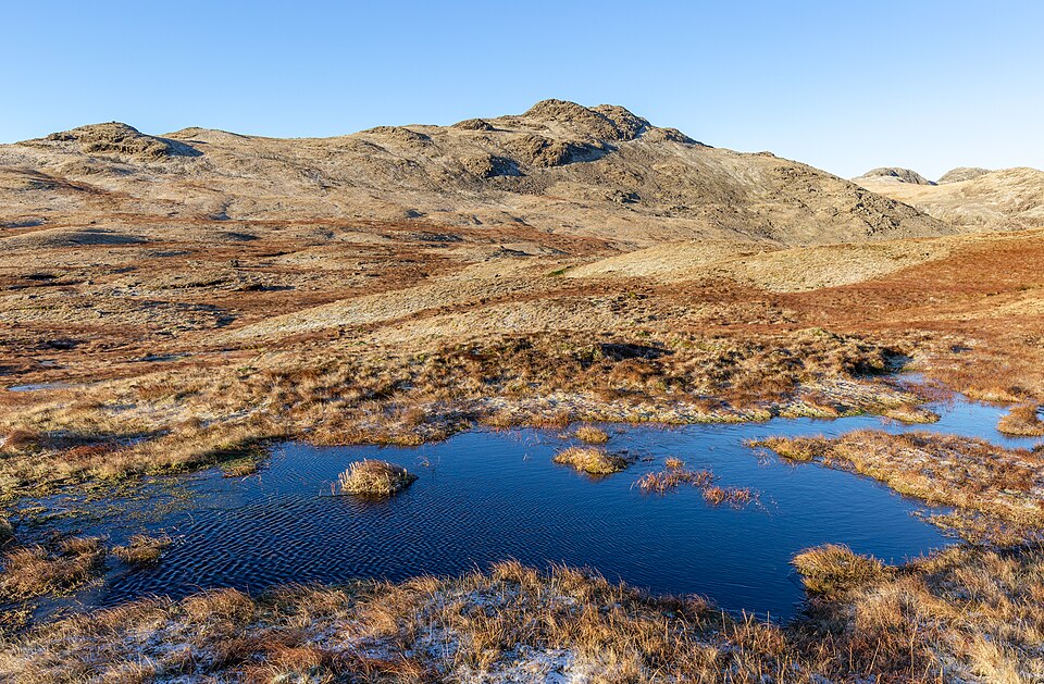 Small bog near Cold Pike, Lake District, England