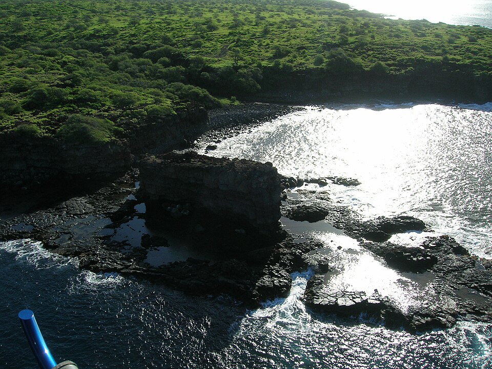 Starr 060406 7118 aerial photograph of Kaneapua Rock, Lanai