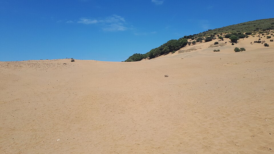 Lemnos