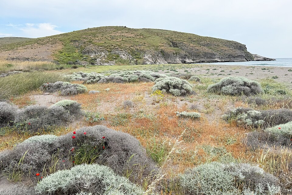 Lesbos coastal plain