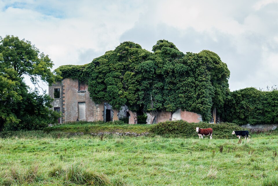 Ireland in Ruins Pt III, Ballynagarde House, Co. Limerick geograph.org.uk 6978591