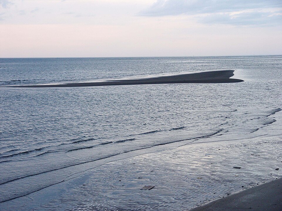 Lovina Beach 200507 1